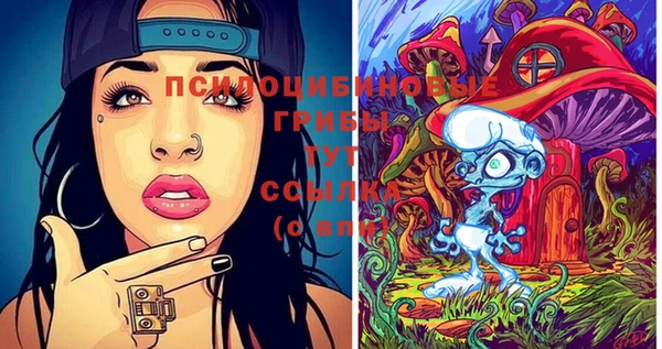 стаф Покачи