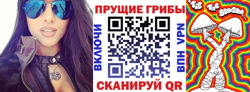 закладка  Кропоткин  kraken онион  Псилоцибиновые грибы MAGIC MUSHROOMS 